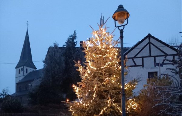 Beleuchteter Weihnachtsbaum im Ort Reifferscheid